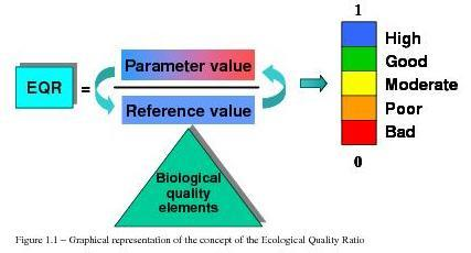 geringe afwijking van de ecologische toestand tot de referentie) wijzen en de waarden in de buurt van nul op een slechte ecologische toestand (zeer sterke afwijking tot de referentie).