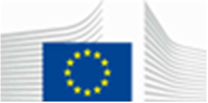 EUROPESE COMMISSIE GEMEENSCHAPPELIJK CENTRUM VOOR ONDERZOEK Instituut voor Referentie Materialen en Metingen (Geel)