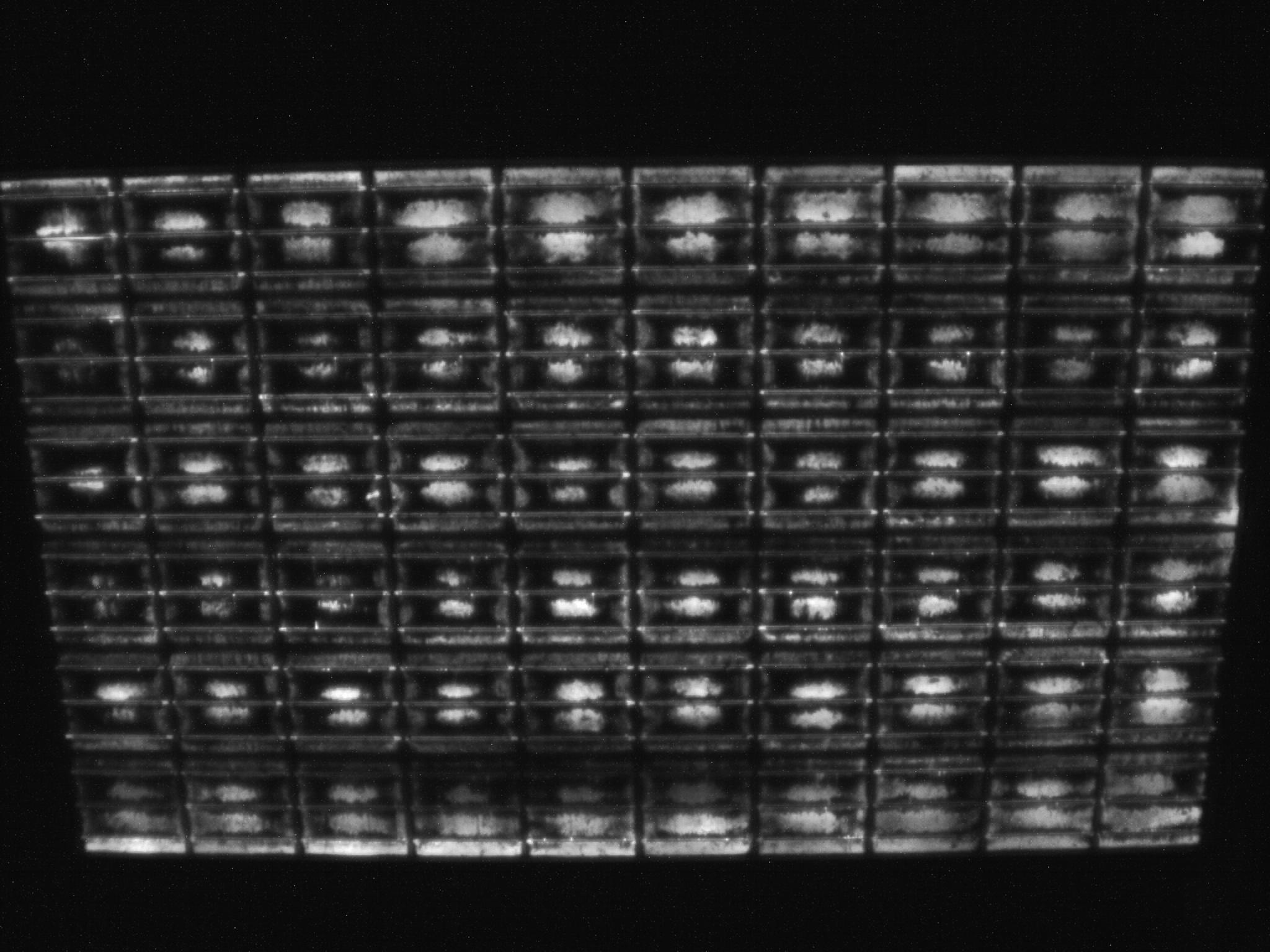 Pagina 8 DHT 4.000 uur Elektroluminescentie-opname na 4000 uur DHT-test: Bijna het volledige cellenvlak van de glas-foliemodule is inactief (zwart).