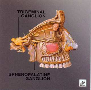 Inleiding Een ganglion is een zenuwknoop waar verschillende zenuwvezels samenkomen die belangrijk zijn voor de pijn in een bepaald gebied van het lichaam.