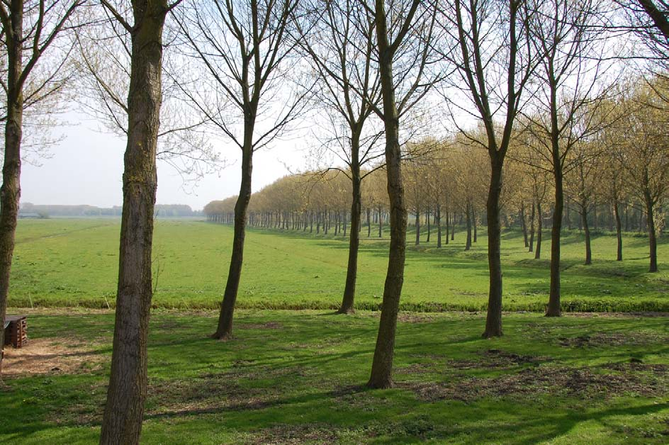 Het historisch patroon van de polder vormt een belangrijke onderlegger voor de nieuwe ontwikkelingen waardoor het landschap leesbaar blijft, het verschaft het gebied een eigen identiteit.