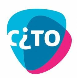 Leraren - Voorbeeld het opstellen van centrale examens door CITO in Nederland Examen wordt opgesteld door groep van 4 docenten Elke docent maakt op jaarbasis 6 (!