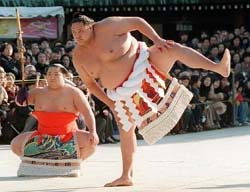 Sumo Het sumo-worstelen (ô-zumô of sumô, het is dus eigenlijk sumô, maar het is in Nederland bekend als sumo) is een heel oude Japanse sport, hetgeen ook te zien is aan de shinto-omgeving waarin het