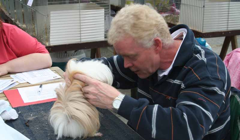 keurmeesterschema Anita Cramer Gladhaar agouti Gladhaar bont & meerkleur CH Teddy Jan Schop Amerikaans Gekruind US Teddy Luc de Donder Gladhaar satijn Sheltie (& Geknipt) Langhaar (& Geknipt) Merino