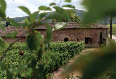 Het wijnhuis Loron is gespecialiseerd in Bourgogne en Beaujolais wijnen. Een bijzonder huis! Wederom een huis dat al een lange geschiedenis heeft.