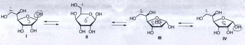 Vraag 24. Door de hydrolyse van ATP kan de cel endergone reacties drijven. Welke uitspraak is geheel waar? 1. Dit kan alleen als een mechanisme beschikbaar is om de reacties aan elkaar te koppelen. 2. Dit kan alleen als een mechanisme beschikbaar is en als de ΔG van ATP hydrolyse negatiever is dan de positieve ΔG van de endergone reactie.