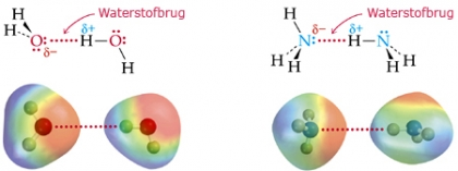 Vorming van H-bruggen tussen H2O-moleculen onderling en tussen NH3-moleculen nderling Verdieping met bijpassende video, zie hieronder. kn.