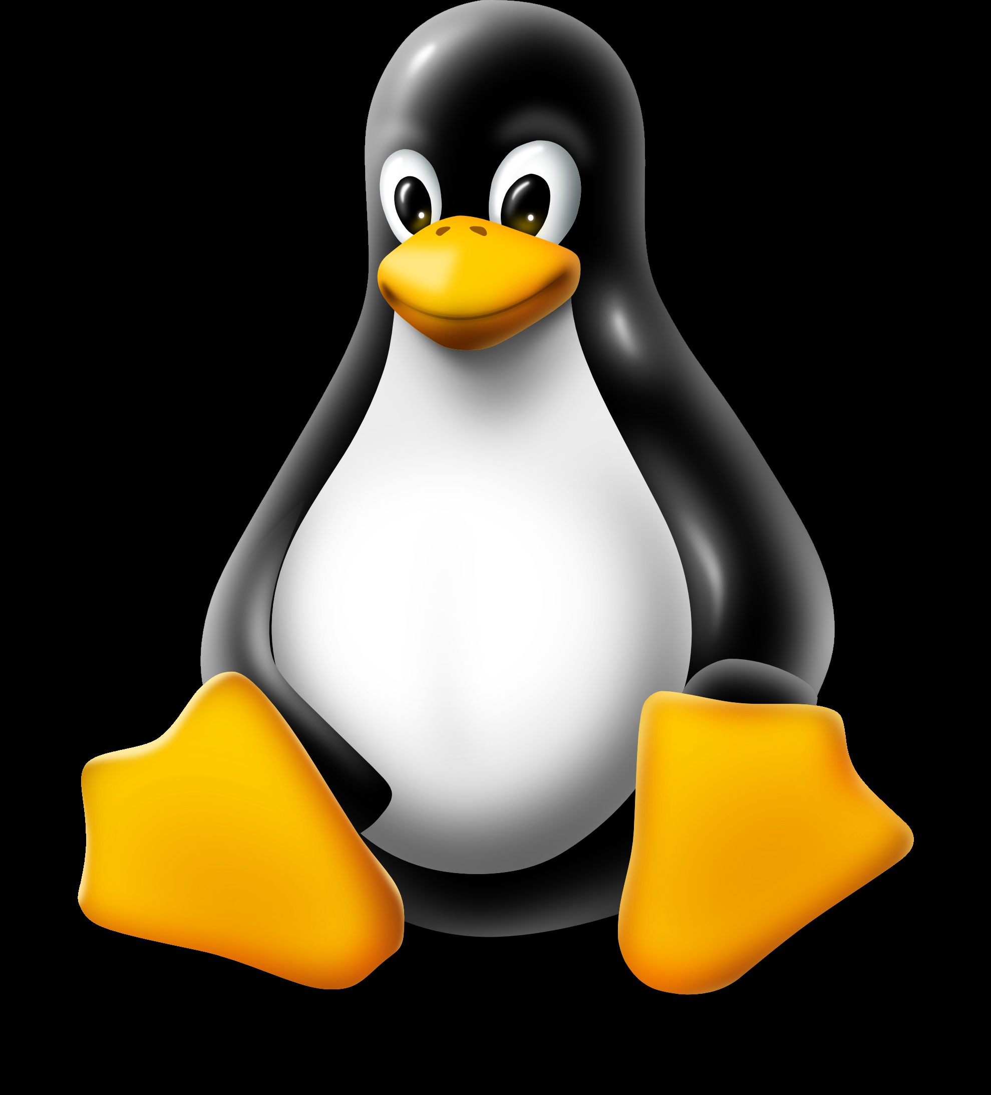 Operating Systemen Naast Microsoft Windows kunnen PCs ook draaien onder Linux, een operating