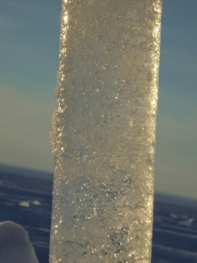 VRAAG 05 / 10 DE IJSKERNEN WORDEN DOOR DE ONDERZOEKERS BESTUDEERD NA HUN TERUGKEER UIT ANTARCTICA.