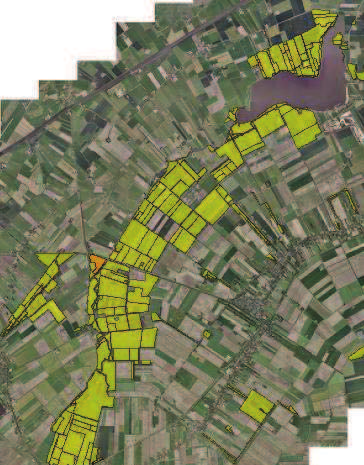 plagexperimenten zijn gedaan. Sinds 1997 is het beheer steeds extensiever geworden (Natuurontwikkeling in Midden Groningen, 2000 & Laagland Bekenproject, 2000). 4 3 1 2 2.