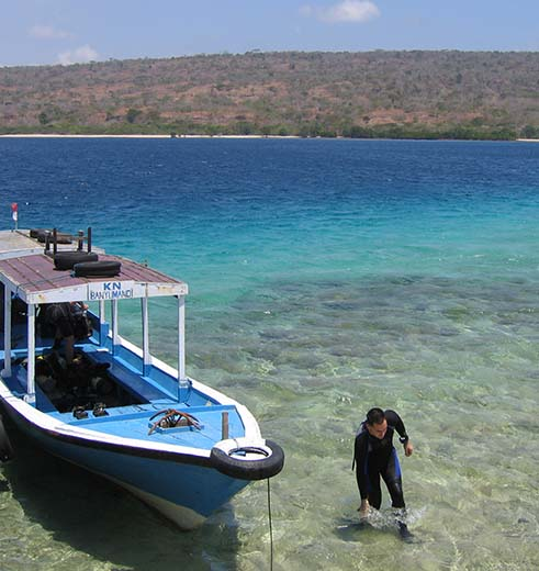 Het snorkelen is altijd vroeg, zo rond de lunch vaart u weer terug. Ook het duiken kunt u het beste regelen direct bij aankomst. De hotels liggen aan de kust van het vasteland van Bali.