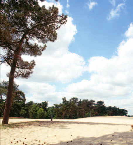 Duinen in. Het is bijzonder om zo dicht bij zo n uniek natuurmonument te kunnen wonen.