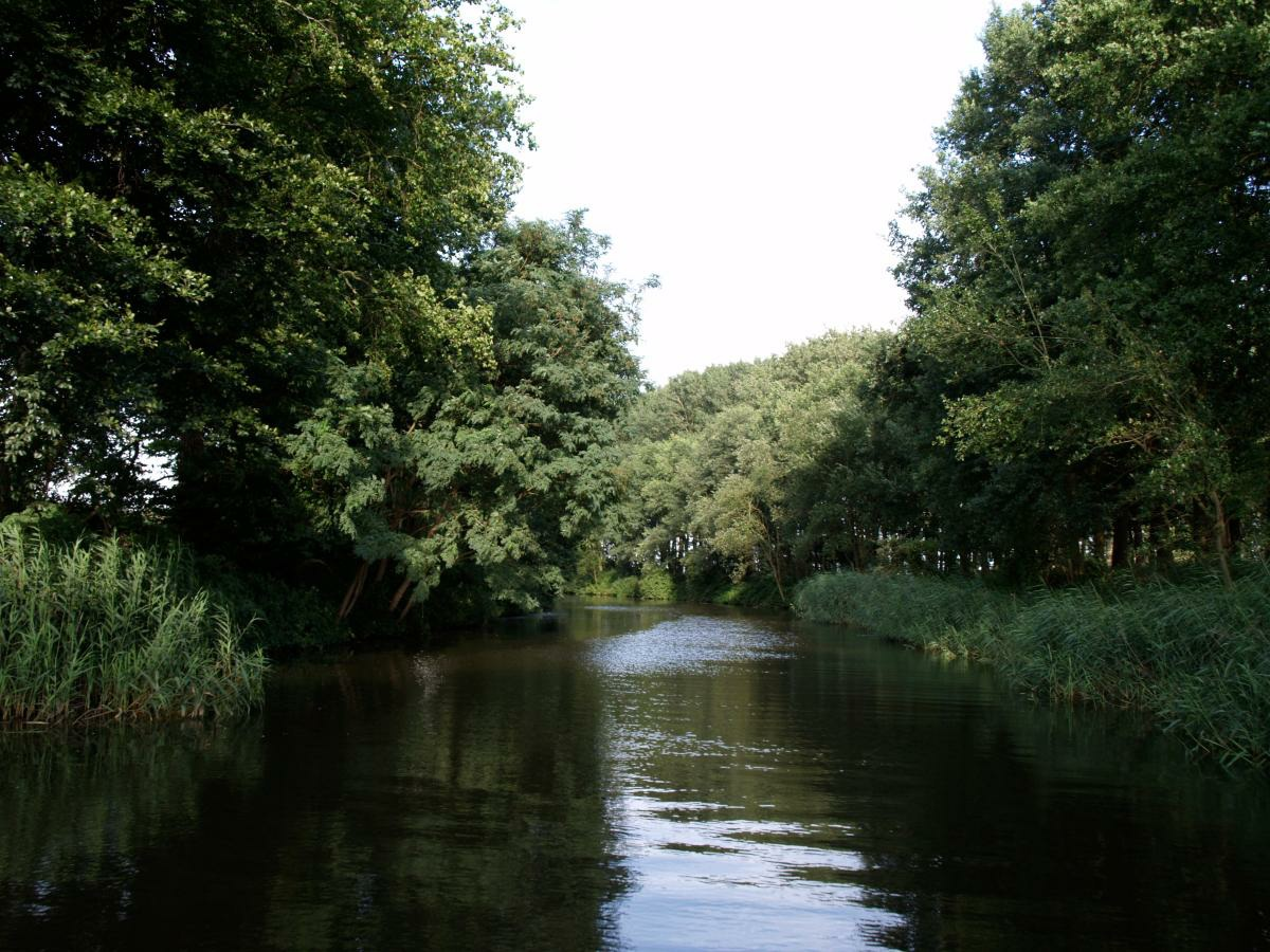 2 Ruimte voor de rivier de Regge De Regge Vanaf hier kun je hem niet zien, toch stroomt direct achter dit weiland de rivier de Regge.