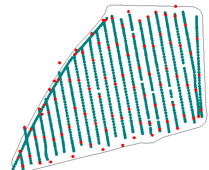 Intraperceelsadvisering in de praktijk