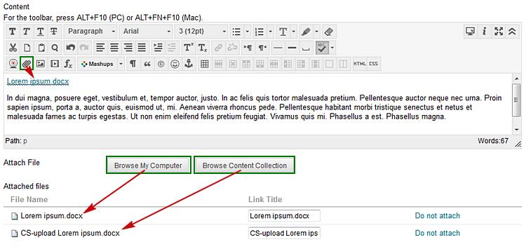 1. Voeg tekst en/of een bestand toe via de content editor. 2. En/of voeg een bestand toe via Browse My Computer. 3. En/of voeg een bestand toe via Browse Content Collection. Klik op de knop Submit.