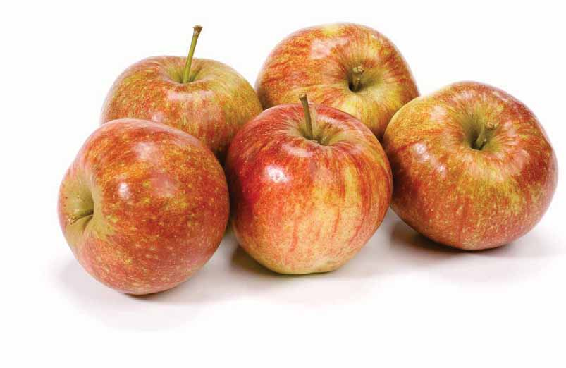 Jonagold appelen tas ca. 2.5 kilo 2.991. 99 kilo 0.