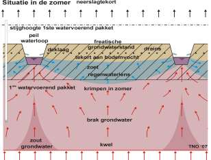 Regenwaterlens (ook wel ondiepe zoetwaterlens genoemd) De kaart met de diepte van het zoet/zout grensvlak geeft ook een beeld van de dikte van de zoetwaterlens.