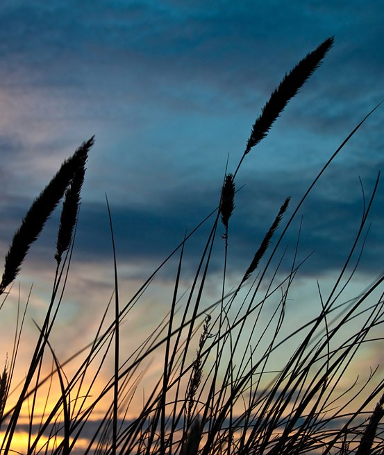 Introductie De provincie Noord-Holland werkt aan welvaart en welzijn door zich in te zetten voor een duurzame, ondernemende en innovatieve economie.