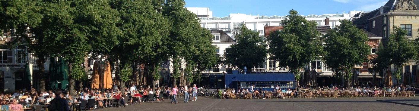 Terrassenbeleid Respondenten vinden dat terrassen zeker een verrijking zijn van de openbare ruimte in Den Haag.