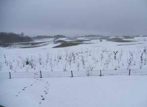 Er liepen geen mensen over de 18 holes, maar wel bij de driving range en de putting green. De golfbaan lag met sneeuw bedekt toen wij daar aankwamen.