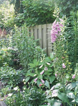 Niet de hele tuin ging op de schop: het krakkemikkige muurtje dat de afscheiding vormt tussen het verhoogde terras en de achtertuin, lieten ze staan.