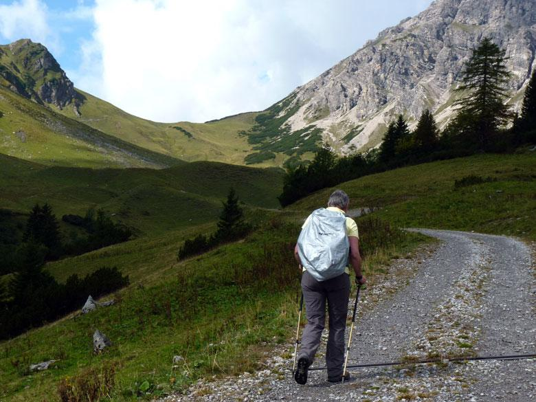 De weg gaat heel geleidelijk maar wel continu omhoog, tot het op 1800m hoogte eindigt voor de Innerpalüdalpe.