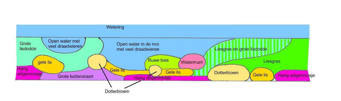 Aanbevelingen onderzoeken 20 Dosis-effect onbekend, groter effect bij welk aandeel NVO in watergangen? Lange termijn?