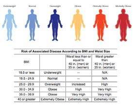 be Overgewicht en obesitas Diagnose ~ % lichaamsvet BMI