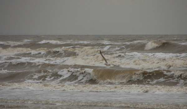 3.3 Theorie 3.3.1 Wind, golven en getij. In Nederland zijn wind en golfrichting meestal direct gerelateerd aan elkaar.