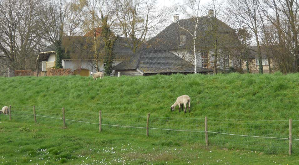 De Omgevingswet komt eraan Naar verwachting treedt in 2018 de Omgevingswet in werking: een integrale wet voor de fysieke leefomgeving.