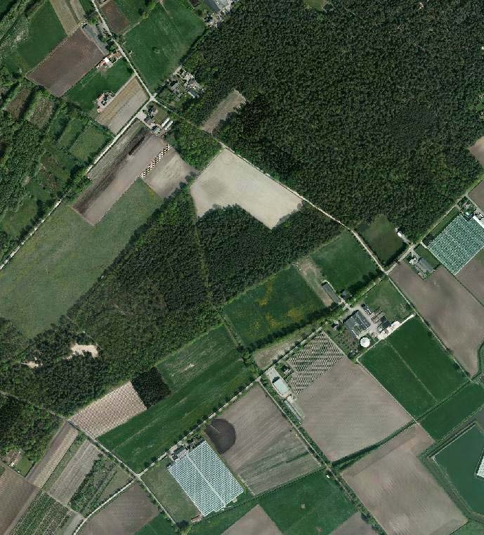 EXTRA PRESTATIES In het kader van voorliggende planvorming wordt nagestreefd het akkerland op perceel 2906 gelegen in de sectie C van de kadastrale gemeente Horst (ten noorden van het plangebied)