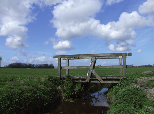 Werkwijze Voor het inventariseren van de weidevogels in de polder is in maart, april en mei de polder bezocht. De weidevogels en andere bijzonderheden zijn op kaart ingetekend.