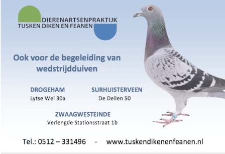 DAP Tusken Diken en Feanen - Lytse Wei 30a, Drogeham - De Dellen 50,