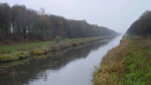 - Visplan Aa en Maas & Brabantse Kanalen - Visuitzet en overzetten van vis bij calamiteiten en baggerwerkzaamheden Bij calamiteiten en baggerwerkzaamheden kan het noodzakelijk zijn dat vis wordt
