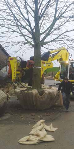 We lopen dan over de kweekvelden om het sortiment aan bomen en struiken met de kweker te bespreken. In alle gevallen was het voor deze stagiairs de eerste keer dat ze bij een boomkweker kwamen!