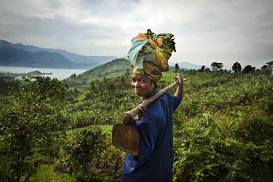 - Sterke organisatie Muungaano Via de coöperatie wordt er een markt gezocht voor de kleine koffieboeren Kivu: sopacdi In 2008 hebben we voor het eerst koffie