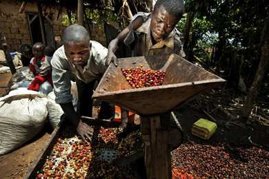 m boven de zeespiegel -Tot 3000 leden -Fairtrade en bio