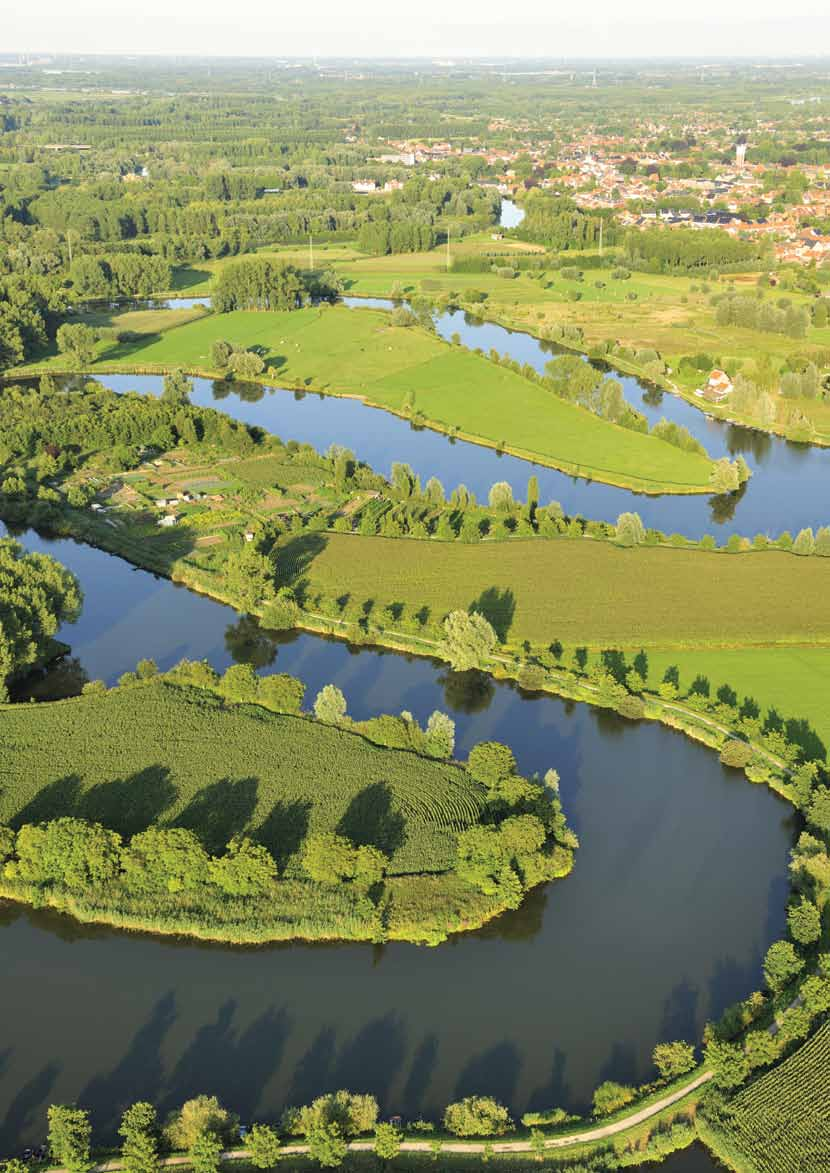 Globaal Yves Adams De finesse van het Sigmaplan wordt ook op de Durme toegepast. We laten de rivier overstromen op plaatsen die we daarvoor reserveren.