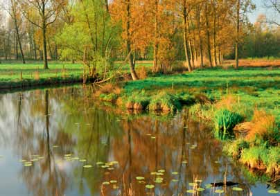 INHOUD IN DIT NUMMER De Schelde moet een veilige, economisch aantrekkelijke én natuurlijke rivier worden.