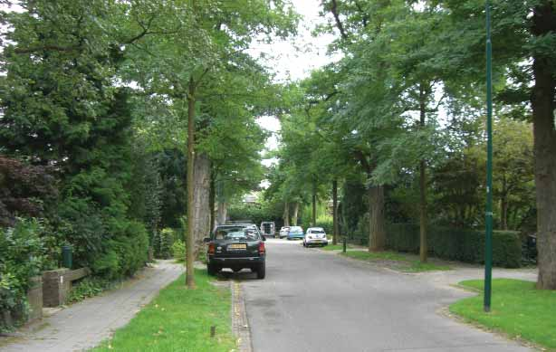 een groene woonstraat, de Koekoeklaan