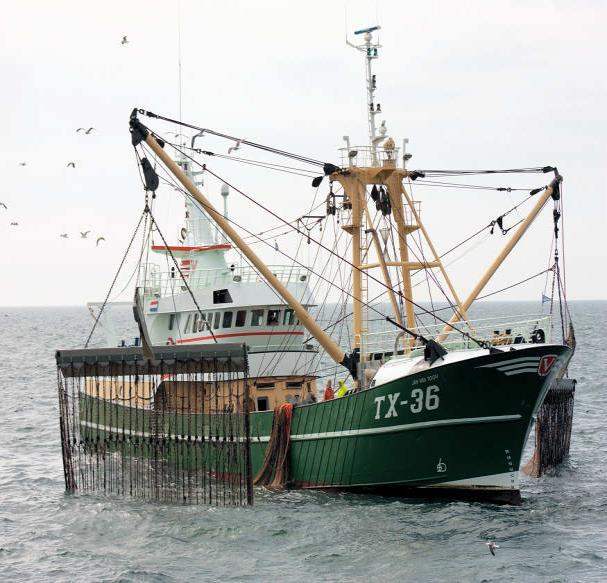 Utch PO European Fisheries Fund: Investing in Sustainable Fisheries Net innovations