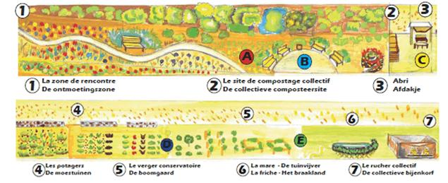 Omschrijving van de tuin Iedereen kan langskomen om de tuinen te boezoeken of eraan mee te werken.