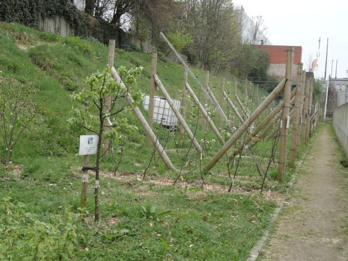 Partnerschappen De gemeente Etterbeek heeft de tuinen in nauwe samenwerking met verschillende verenigingen geopend, die zich elk met een ander facet bezig houden: Verenigingen die een perceel