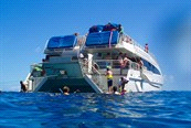 Themareizen / Noord-Amerika / Hawaii Code TAHW0001 TA individuele reis Niveau Accommodatie Maui Island * Molokini Snorkelcruise, 1 dag, Bootexcursie en snorkeltour naar het mooiste rif van Hawaii