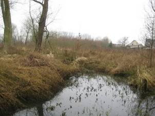 watermolen + stuw Gelegen in Habitat