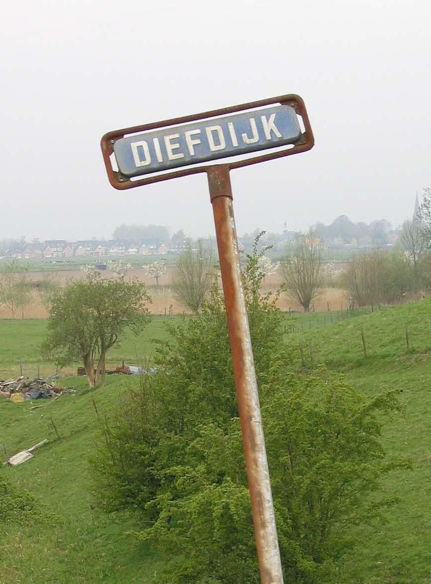 Inleiding De Diefdijklinie is een scheidingsdijk tussen de dijkringgebieden van de Alblasserwaard en Vijfheerenlanden en de Betuwe en Tieler- en Culemborgerwaarden.