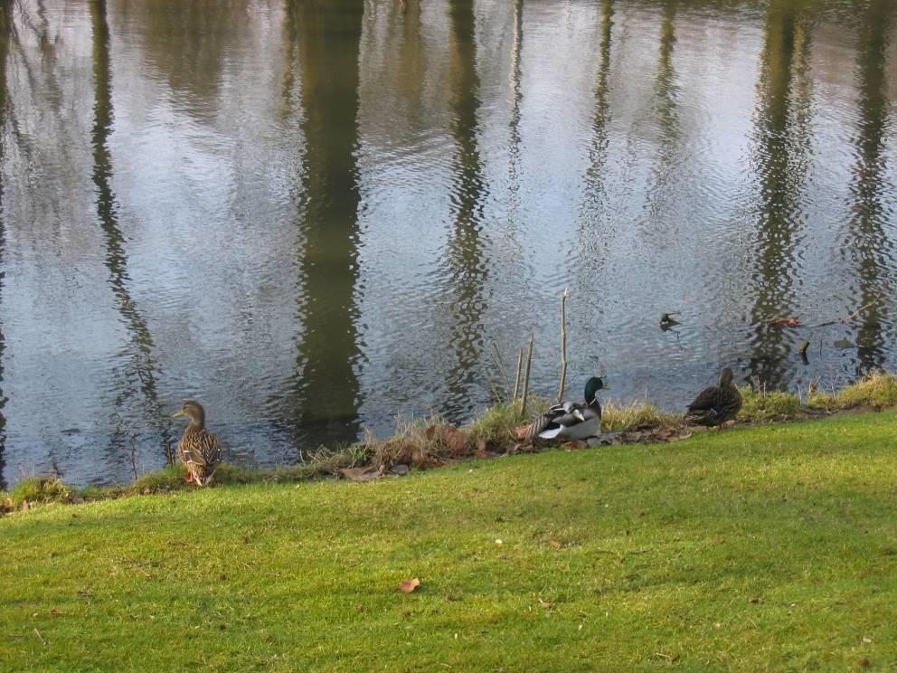 Toelichting scheiden en afkoppelen van afval-