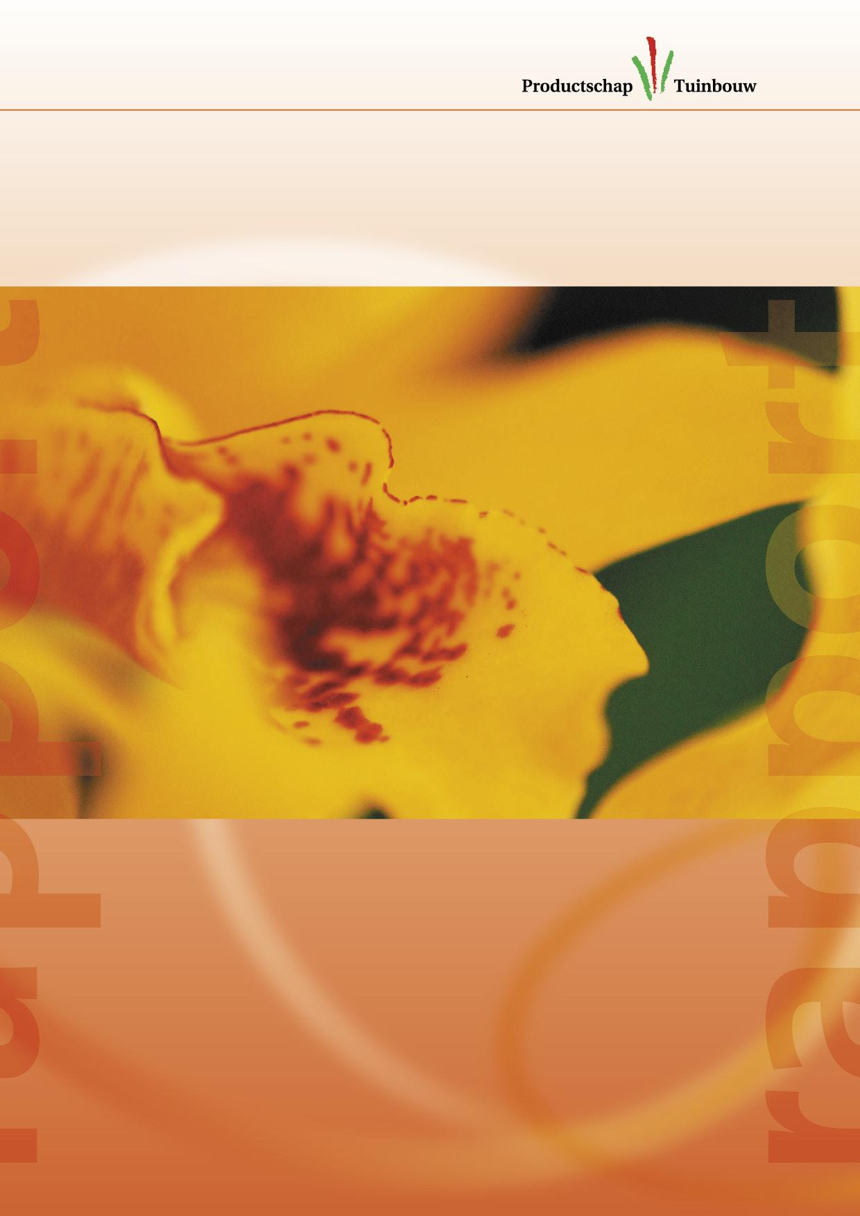 Potchrysant: kleurrijke seizoensplant Onderzoek onder bloemisten en consumenten