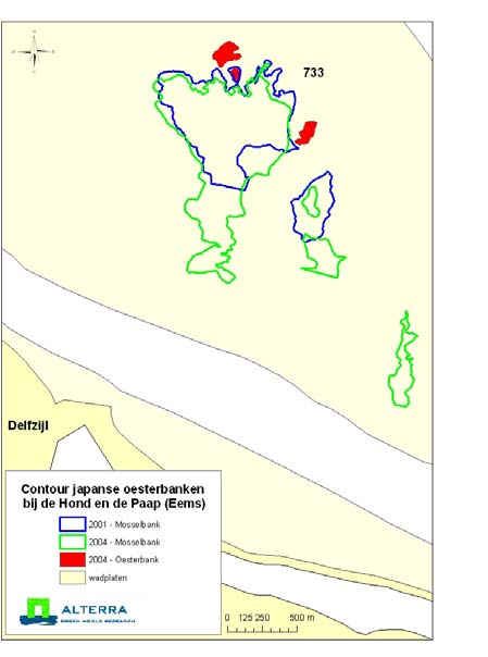 pagina 16 van 57 Rapport C040/06 Figuur 2.9: Mossel- en oesterbanken op de Paap in het Eems-estuarium.