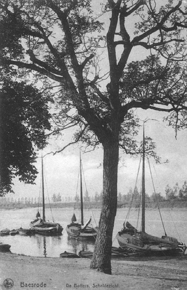 Palingbotters van Baasrode Vanaf 1850 Vlaamse botters (levend vervoer van paling) 1896 14 botters in Baasrode paling uit Oosterschelde, Maas en Waal Baasrode ca